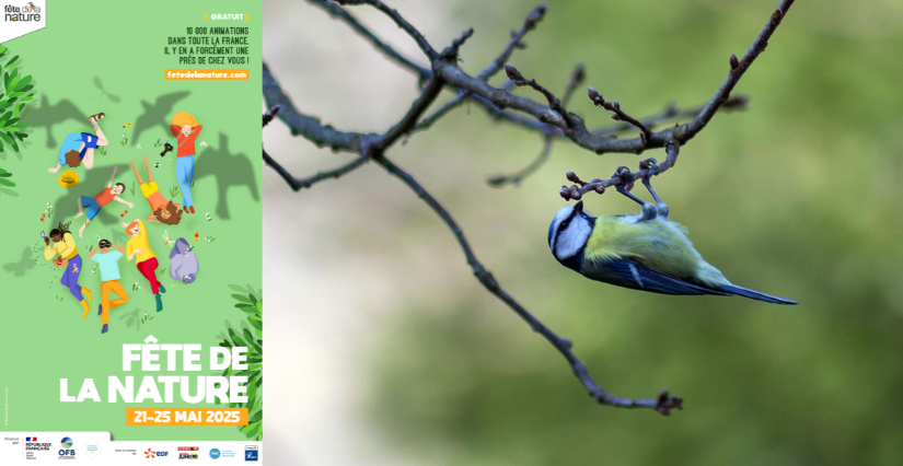 © UPSud/S.Crouzier Fête de la Nature 2025 dans l'Essonne (91)