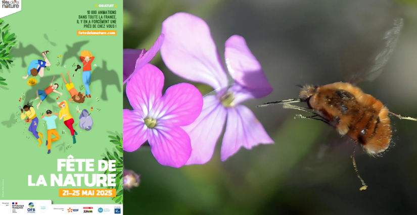 Fête de la Nature 2025 dans le Val-de-Marne (94)