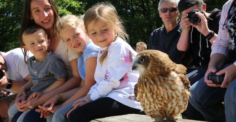 ESPACE RAMBOUILLET : parc animalier à visiter en famille dans les ...
