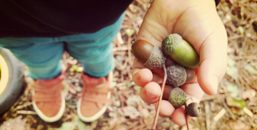 Balade en forêt avec les enfants