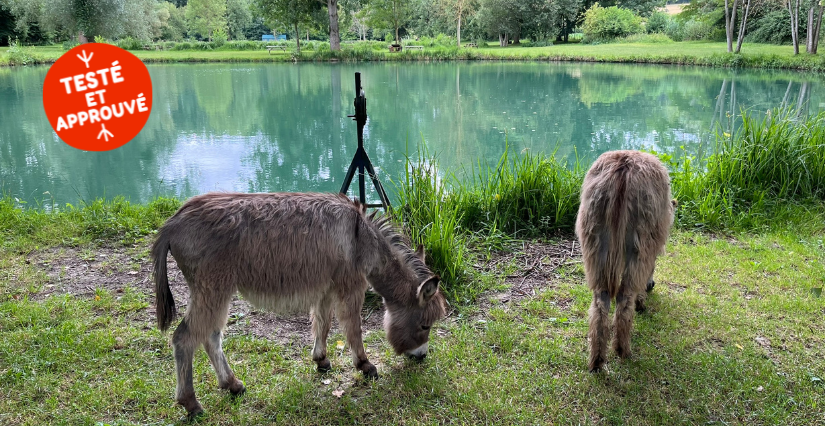 Les ânes de Malowe Nature