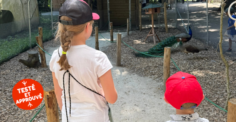 Une volière immersive à Malowe Nature