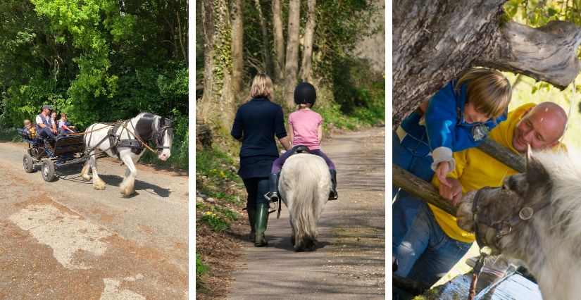 Découverte poney en famille aux Écuries de Cap'tain Brown (60