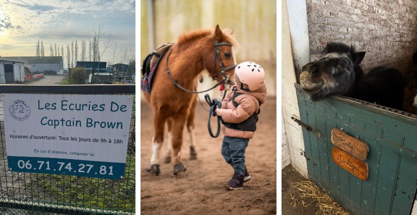 Baby poney à Neuilly-en-Thelle : éveil équestre pour enfants près de Chambly (60)