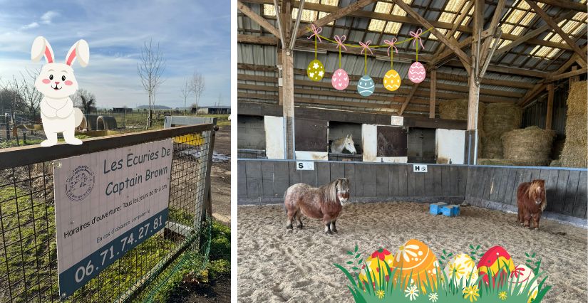 Chasse aux oeufs à poney aux Écuries de Cap'tain Brown dans l'Oise (60)