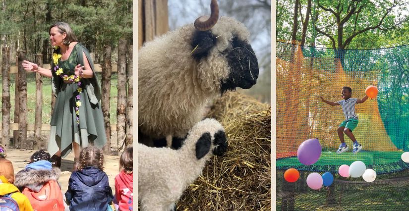 Chasse aux oeufs en forêt à l'Espace Rambouillet 78