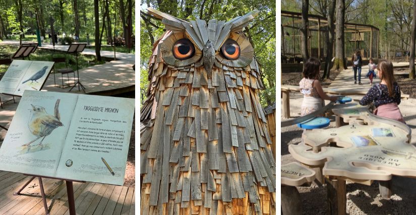 Balade dans la forêt des Aigles pour les enfants à l'Espace Rambouillet