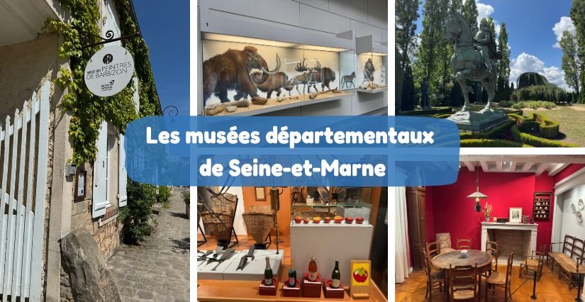 5 musées à découvrir avec les enfants en Seine-et-Marne 