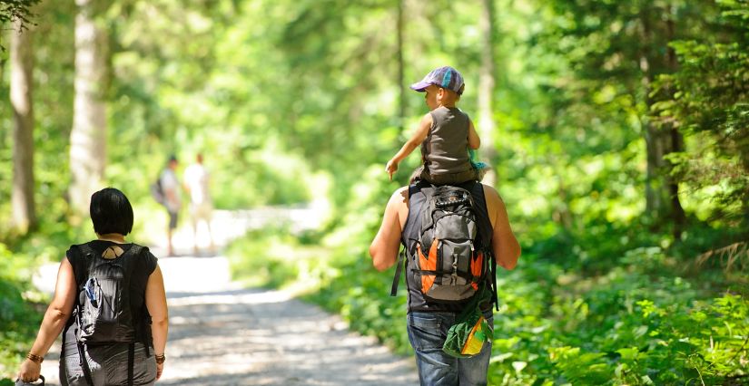 Famille se baladant à la fraiche en forêt
