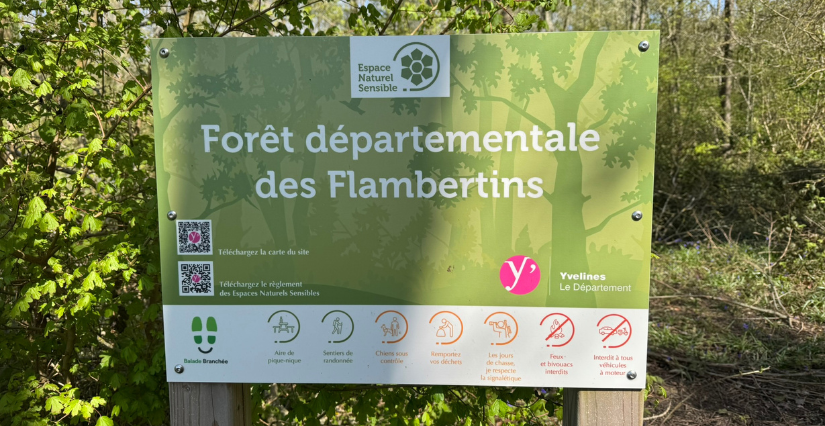 Forêt départementale des Flambertins dans les Yvelines