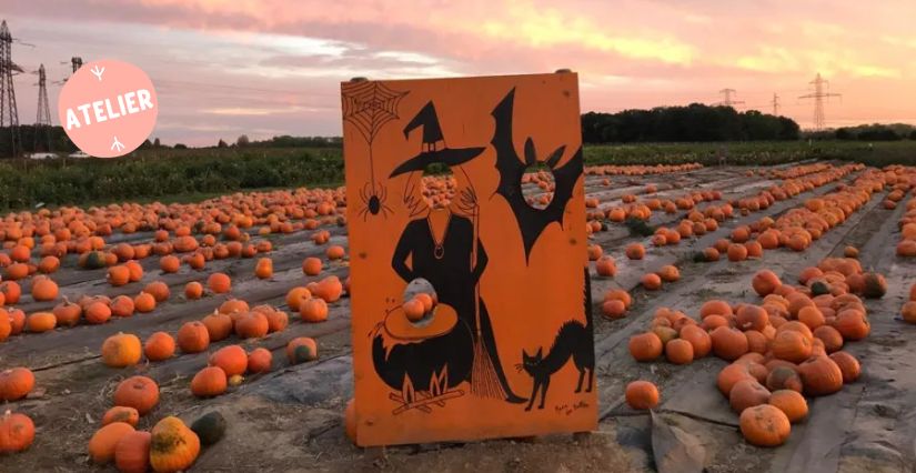 Champs de citrouilles pour Halloween à la Ferme de Viltain