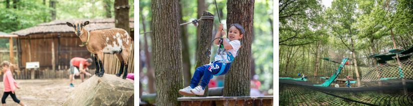 Activités enfants et ados au parc Aventure Floreval 91