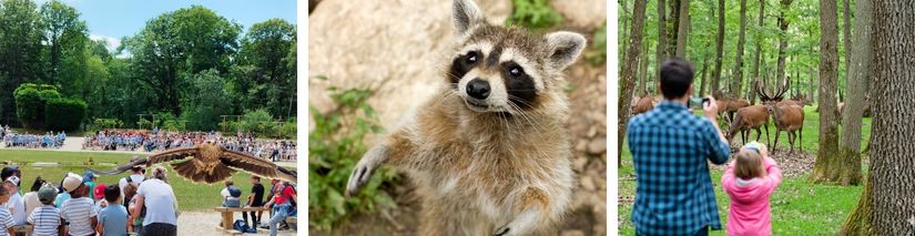 Une sortie en famille à l'Espace Rambouillet en images