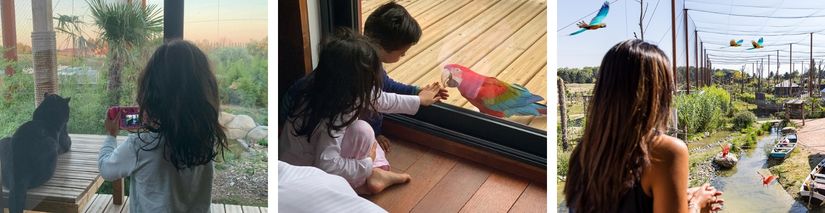 Familles séjournant dans les lodges à Parrot World en Seine-et-Marne 77