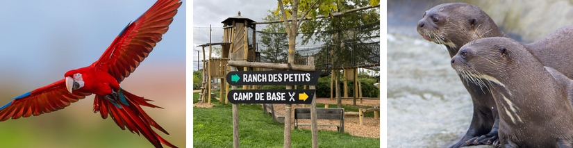 Visite en famille à Parrot World