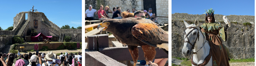 Spectacle les Aigles des Remparts - Jeu concours