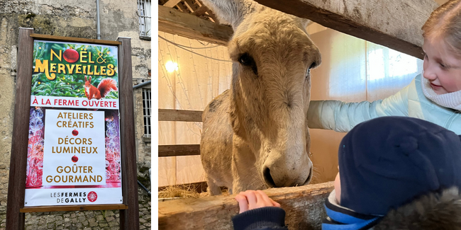 Noël et merveilles à la Ferme de Gally dans les Yvelines en Ile-de-France