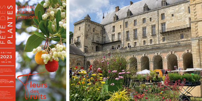 Plantes Plaisirs Passions : fête des plantes au château de La Roche-Guyon (95)