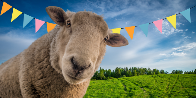 Journée festive à la Ferme de Pontoise pour ses 10 ans famille Val d'Oise