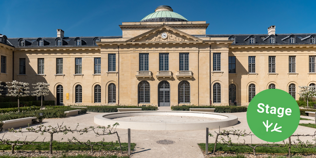 Stage de pratique artistique pour enfants à l'Espace Richaud, Versailles (78)