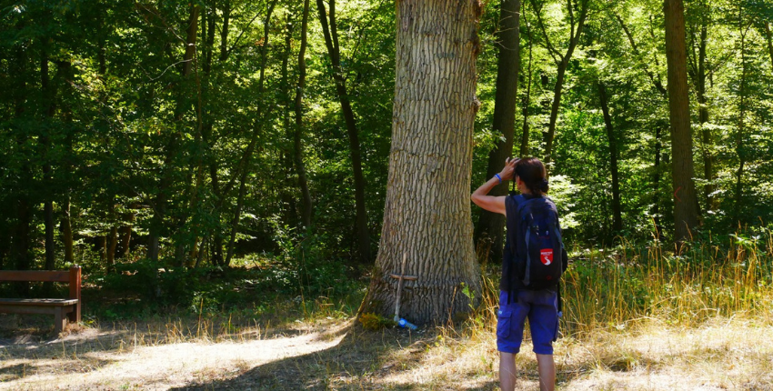 Sortie nature & photo en forêt de Marly avec les ados (78)