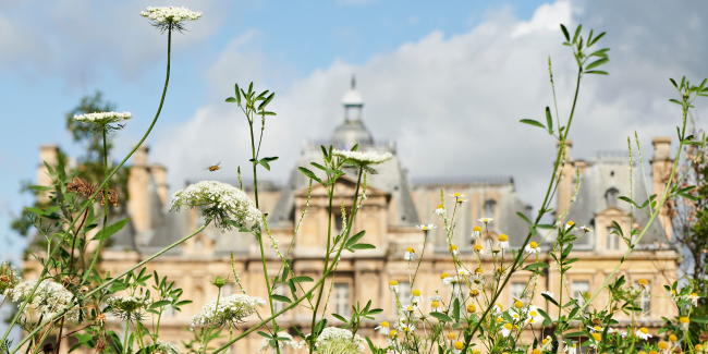 Rendez-vous au Jardin : balade en famille au Château de Maisons (78)