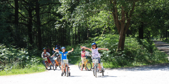 Sortie vélo en famille cet été en forêt de Rambouillet avec LocaCycles (78)