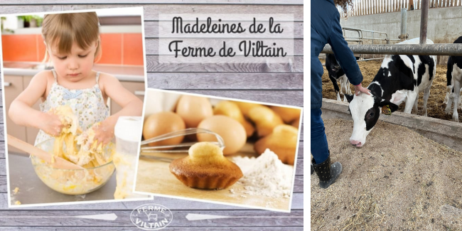 Atelier madeleine et visite de la ferme de Viltain à Jouy-en-Josas 