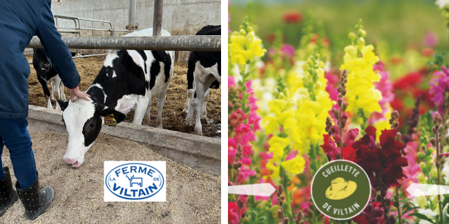 Ferme et cueillette de Viltain : sortie en famille dans les Yvelines !