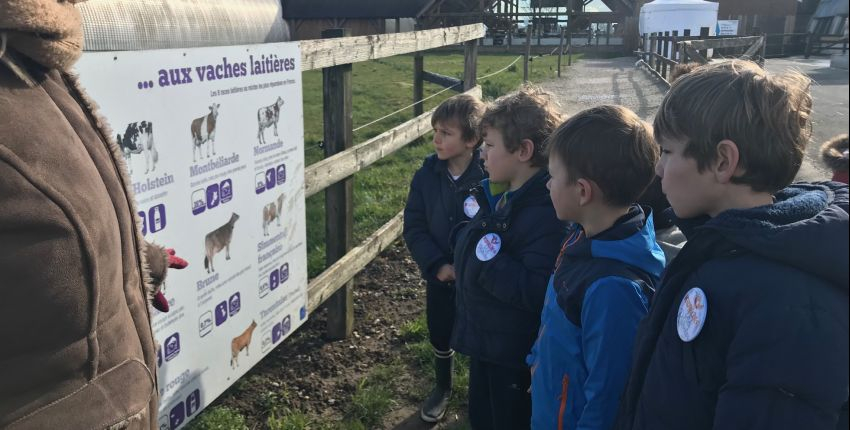 Visites guidées de l'étable des vaches à la ferme de Viltain (78)