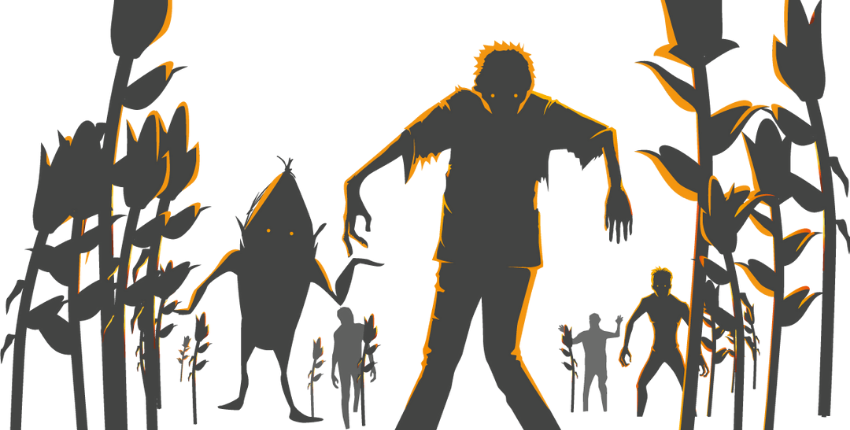 ZOMBI'LABY : nuit de l'horreur chez Pop Corn Labyrinthe Val d'Oise à Puiseux-Pontoise (95) ZOMBI'LABY : nuit de l'horreur chez Pop Corn Labyrinthe Val d'Oise à Puiseux-Pontoise (95)
