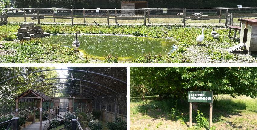 De la ferme au jardin, visite gratuite à la ferme pédagogique de Mantes-la-Jolie (78) De la ferme au jardin, visite gratuite à la ferme pédagogique de Mantes-la-Jolie (78)
