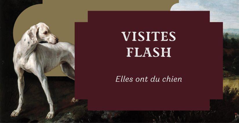 Visite flash offertes au musée du Domaine royal de Marly (78)