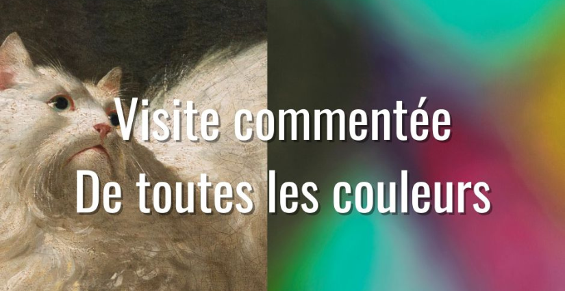 Visite commentée “De toutes les couleurs", Espace Richaud et musée Lambinet, Versailles (78)