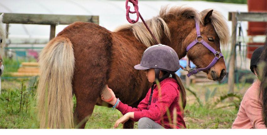 Stage vacances pour enfants au poney-club de Marly-le-Roi Stage vacances pour enfants au poney-club de Marly-le-Roi