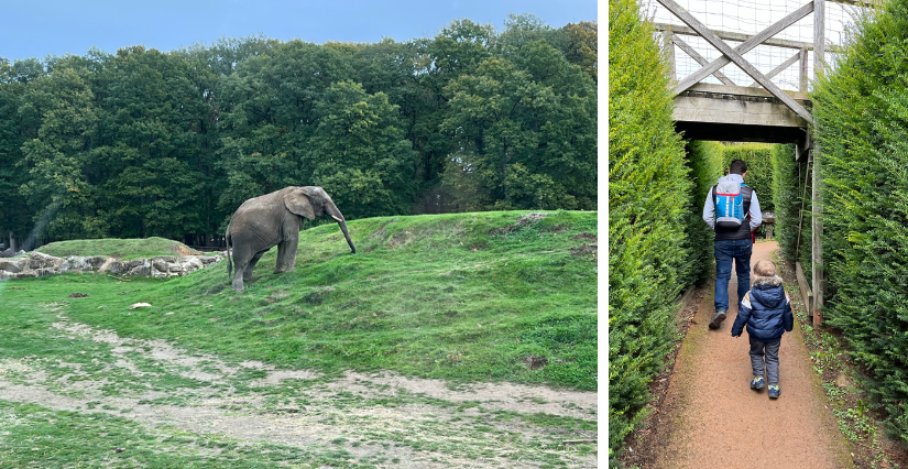 WOW SAFARI THOIRY, parc animalier en famille dans les Yvelines (78)