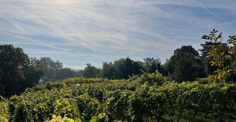  Balade sur le chemin des Impressionnistes à Louveciennes