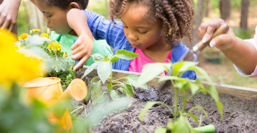 Atelier "jardiniers en herbe" à partir de 6 ans au Château de Blandy Atelier "jardiniers en herbe" à partir de 6 ans au Château de Blandy (77)