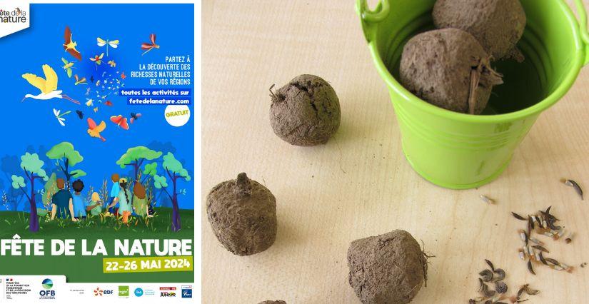 Fête de la Nature dans le Val-de-Marne : atelier bombes à graines à Fresnes (94) Fête de la Nature dans le Val-de-Marne : atelier bombes à graines à Fresnes (94)