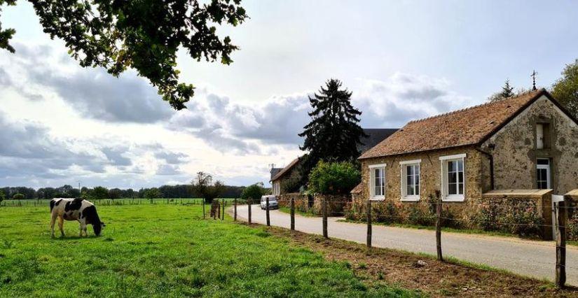 Visite à la ferme de Viltain et randonnée en famille (78)