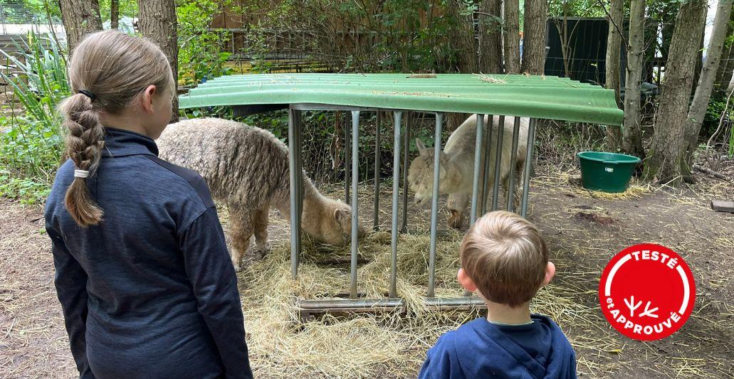 Une journée mémorable en famille à la ferme pédagogique MALOWE NATURE dans les Yvelines