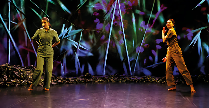 "Le chemin du Wombat au nez poilu", spectacle de danse au Théâtre-Sénart, Lieusaint (77)