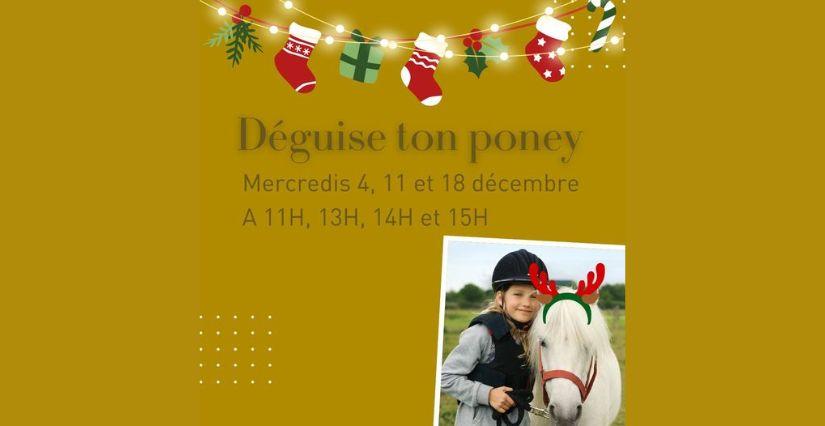 "Déguise ton poney", animations de Noël au Domaine de Dampierre-en-Yvelines (78) "Déguise ton poney", animations de Noël au Domaine de Dampierre-en-Yvelines (78)