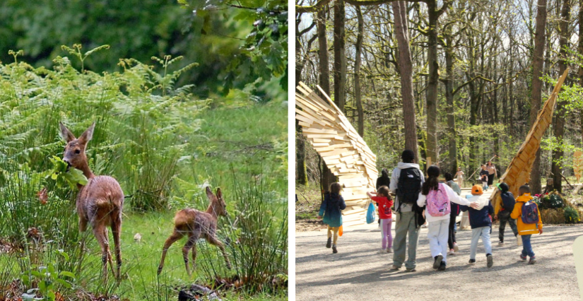 ESPACE RAMBOUILLET : parc animalier en famille dans les Yvelines (78 ...