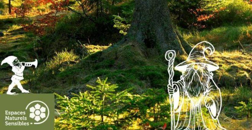 Balade contée en forêt, sortie nature à La-Celle-les-Bordes (78) - Gratuit Balade contée en forêt, sortie nature à La-Celle-les-Bordes (78) - Gratuit