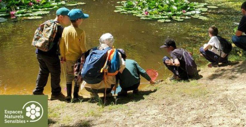 [GRATUIT] Les animaux de la mare, sortie nature en famille dans les Yvelines (78)