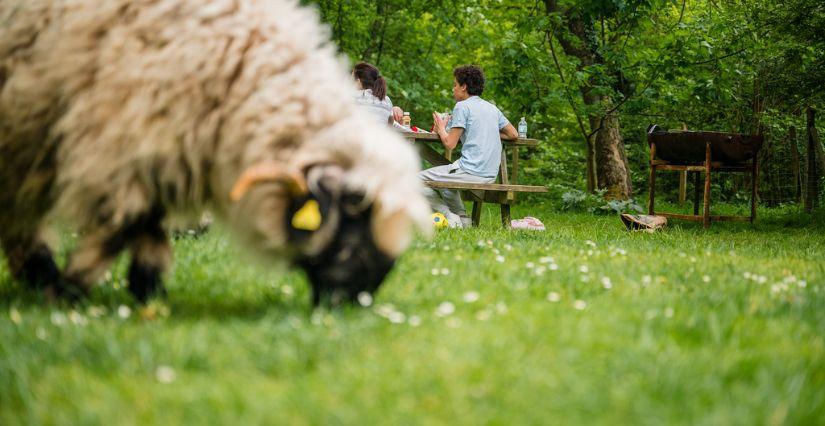 © Nicolas Dubois - Malowe Nature Malowe Nature, ferme pédagogique en famille dans les Yvelines