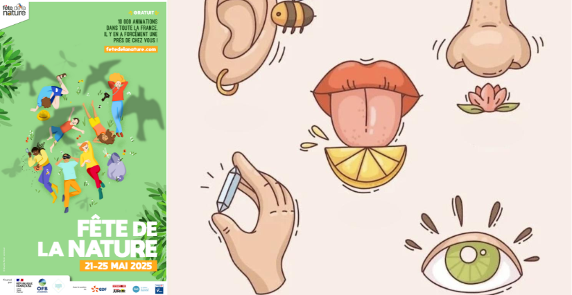 Fête de la Nature 2025 en Seine-et-Marne (77)