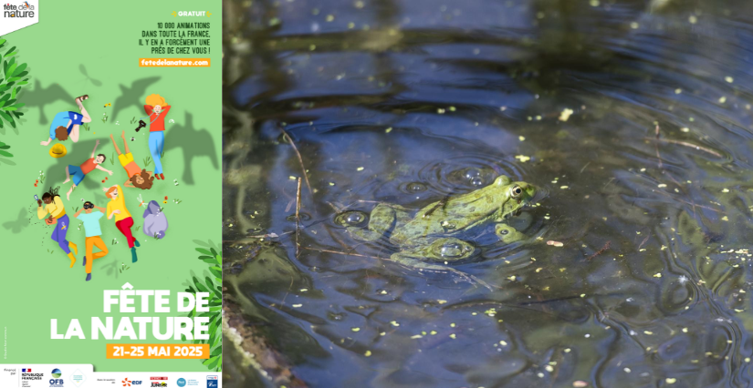 Fête de la Nature 2025 dans les Hauts-de-Seine (92)