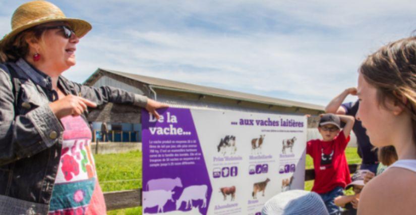 Visites guidées de l'étable des vaches à la ferme de Viltain (78) Visites guidées de l'étable des vaches à la ferme de Viltain (78)